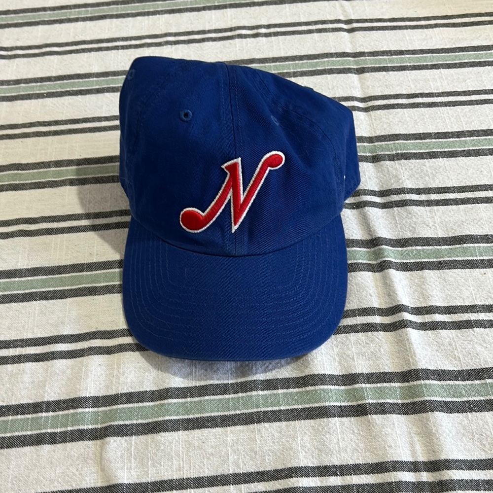 blue nashville sounds minor league baseball team hat.